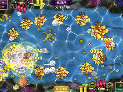 星力海王靠谱